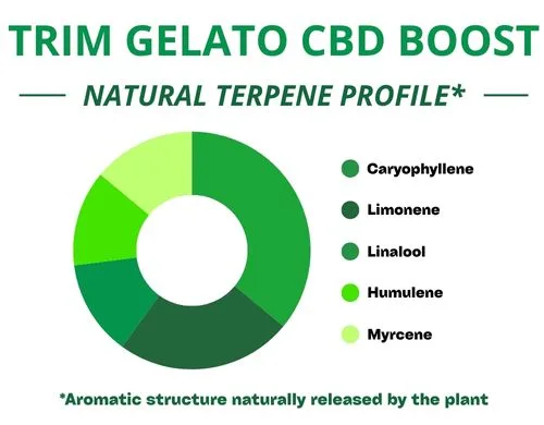Diagramme circulaire du profil terpénique de la variété Trim Gelato Cbd Boost