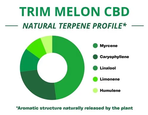Diagramme circulaire du profil terpénique de la variété Trim Melon Cbd