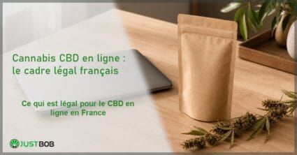 Composition éditoriale e-commerce avec ordinateur portable fermé, pochette kraft et brin de chanvre séché sur bureau en bois clair, lumière naturelle
