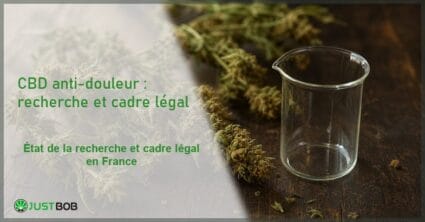Composition éditoriale de fleurs de chanvre CBD séchées et d'un bécher en verre de laboratoire vide sur une surface en bois sombre