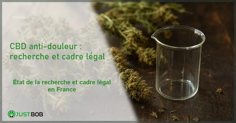 cbd-anti-douleur-recherche-scientifique-banner Composition éditoriale de fleurs de chanvre CBD séchées et d'un bécher en verre de laboratoire vide sur une surface en bois sombre