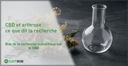 Composition éditoriale de fleurs de chanvre CBD séchées à côté d'un ballon en verre de laboratoire vide sur une surface en ardoise sombre