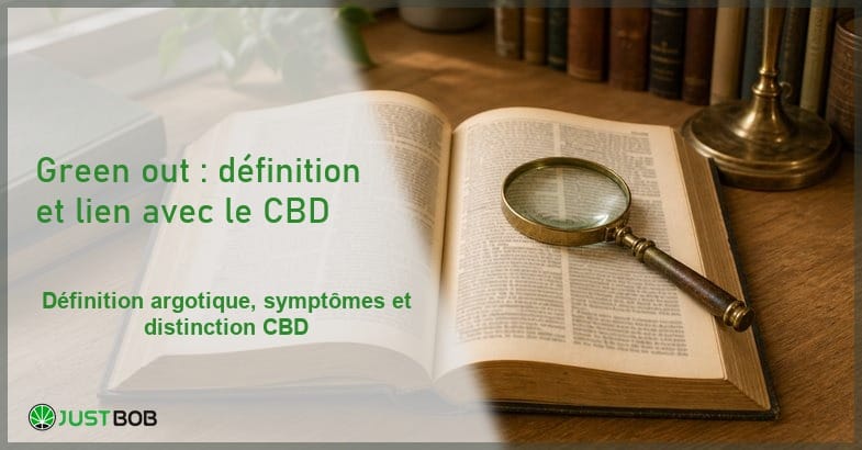 green-out-cannabis-culture-anglophone-terminologie Vue éditoriale d'un dictionnaire de linguistique ouvert avec loupe ancienne sur bureau de bois clair