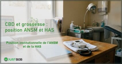 Cabinet médical d'obstétrique avec dossier blanc fermé sur bureau en bois, doppler à ultrasons et plante en pot près de la fenêtre
