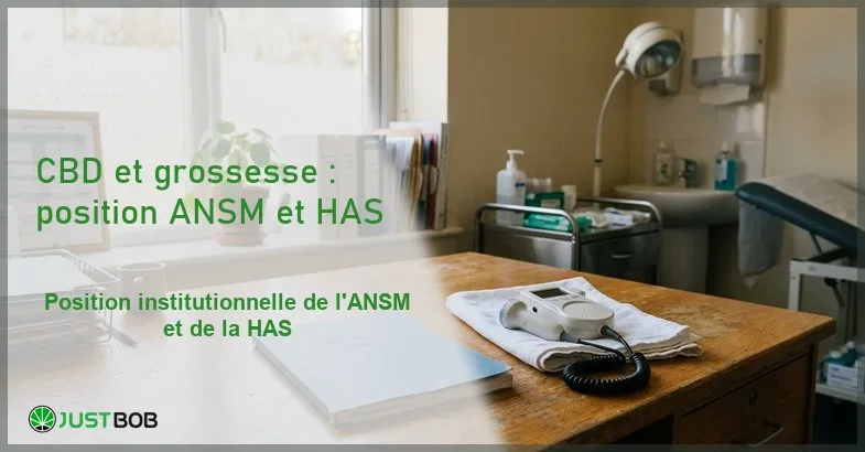 cbd-grossesse-cadre-sanitaire-information-medicale Cabinet médical d'obstétrique avec dossier blanc fermé sur bureau en bois, doppler à ultrasons et plante en pot près de la fenêtre