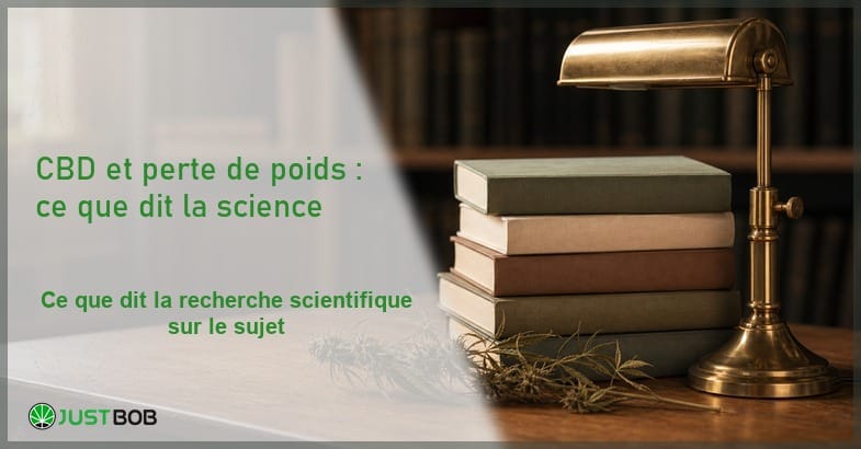 cbd-perte-poids-recherche-endocannabinoide Composition éditoriale d'une pile de livres reliés fermés et d'une lampe de lecture en laiton à côté d'un brin de chanvre séché sur un bureau en bois