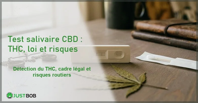 cbd-test-salivaire-banner-controle-routier Banner éditorial illustrant l'article sur le test salivaire et le CBD avec dispositif de dépistage et plante de chanvre industriel