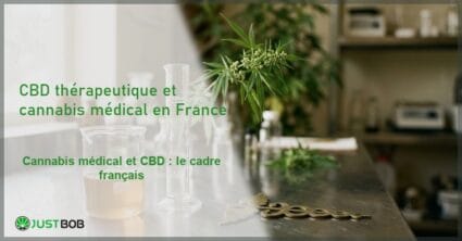 Verrerie de laboratoire avec plante de chanvre en arrière-plan pour illustrer le cadre réglementaire du cannabis médical