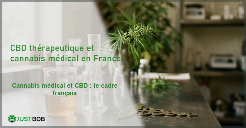 featured-cbd-therapeutique-remboursement Verrerie de laboratoire avec plante de chanvre en arrière-plan pour illustrer le cadre réglementaire du cannabis médical