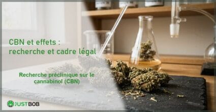 Banner éditorial illustrant l'article sur les effets du CBN avec inflorescences séchées de chanvre CBD industriel sur ardoise sombre
