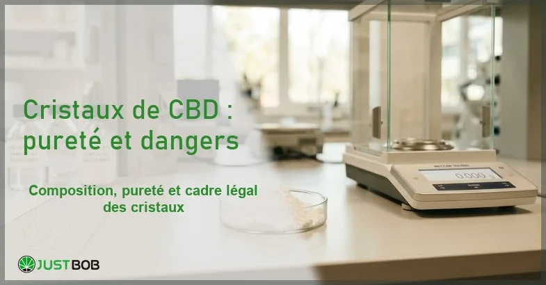 cristaux-cbd-danger-isolat-banner Banner éditorial illustrant l'article sur les cristaux de CBD avec coupelle d'isolat blanc poudreux sur paillasse de laboratoire en lumière naturelle