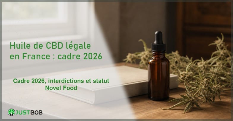 huile-cbd-legal-france-cadre-juridique-arrete-decembre-2021 Composition éditoriale d'un flacon en verre ambré d'huile de CBD à côté d'un livre relié fermé et de brins de chanvre séché sur un bureau en bois