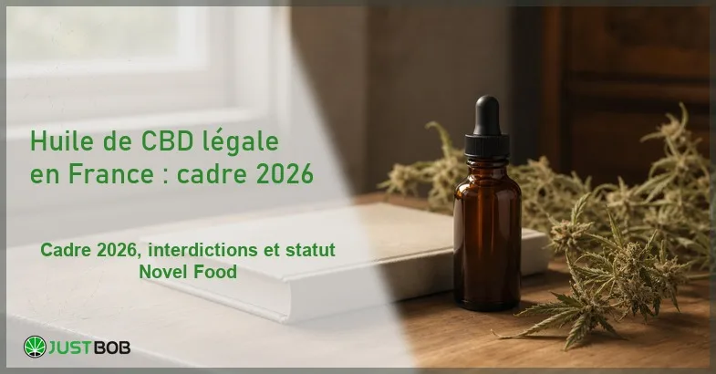 huile-cbd-legal-france-cadre-juridique-arrete-decembre-2021 Composition éditoriale d'un flacon en verre ambré d'huile de CBD à côté d'un livre relié fermé et de brins de chanvre séché sur un bureau en bois