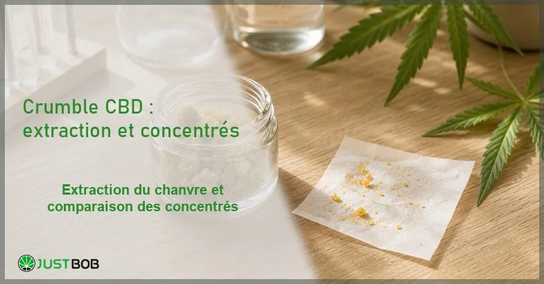 crumble-cbd-format-technique-extraction-chanvre Pot en verre transparent contenant un crumble CBD friable de teinte claire, feuille de chanvre et parchemin avec miettes sur un bureau en bois