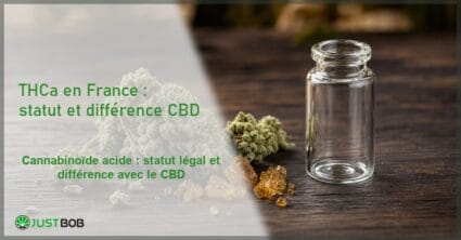 Composition éditoriale macro de fleur de chanvre CBD et de cristaux de résine ambrés à côté d'une fiole en verre vide sur une surface en bois sombre