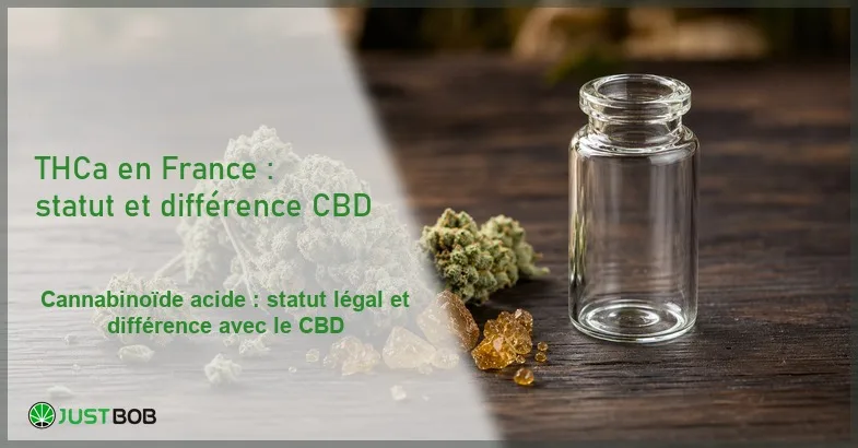 featured-thca-france Composition éditoriale macro de fleur de chanvre CBD et de cristaux de résine ambrés à côté d'une fiole en verre vide sur une surface en bois sombre