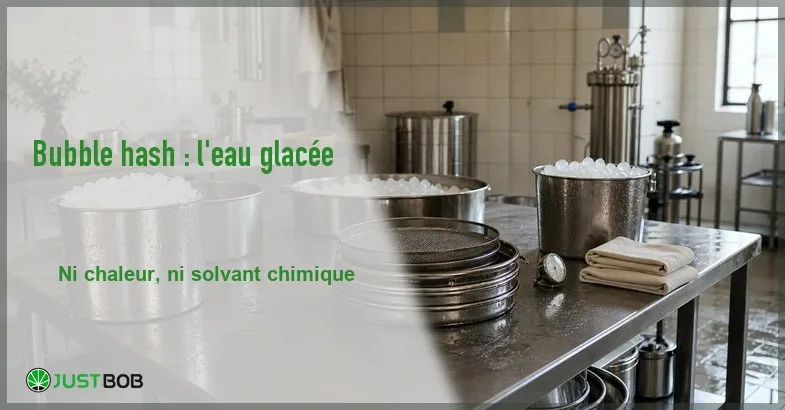 bubble-hash-extraction-eau-glacee-banner Bannière éditoriale de l'article sur le bubble hash : atelier d'extraction à froid en inox avec seaux de glace et tamis empilés, logo Justbob