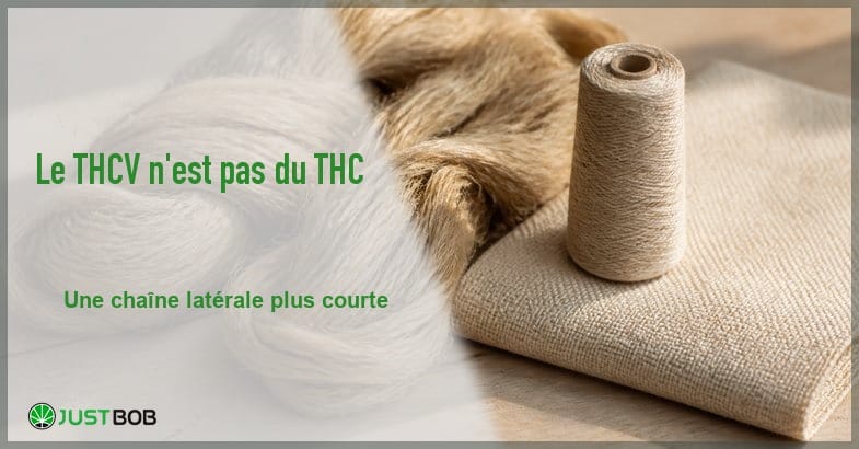 thcv-cannabinoide-mineur-banner Bannière éditoriale de l'article sur le THCV : écheveaux de fibre végétale brute blond doré, toile écrue tissée, bobine de fil naturel et logo Justbob