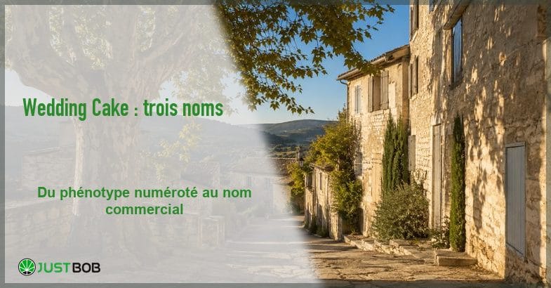 village-provencal-ruelle-pavee-banner Bannière éditoriale : ruelle pavée d'un village provençal bordée de maisons en pierre, avec un grand platane et des collines boisées